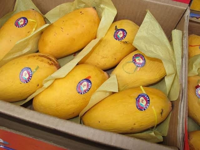 Pakistan Sets Ambitious Target: 125,000 Tons of Mango Exports Worth $100M in 2025