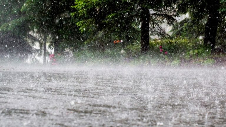 Pakistan Monsoon Forecast: PMD Predicts First Rain Spell from June 25