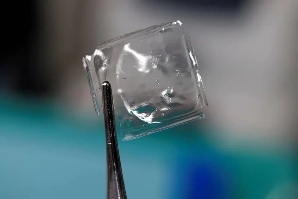 Plastic Dissolves in Seawater: Japanese Scientists Make Groundbreaking Discovery