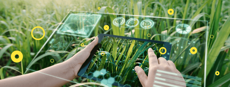 Agri Stack Pakistan Launches AI-Driven Farming Revolution