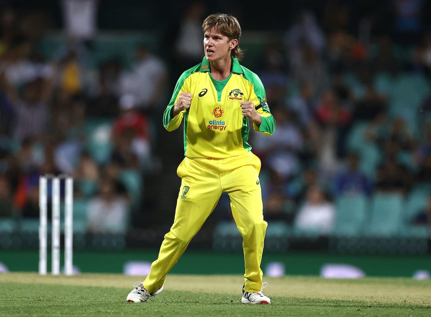 Adam Zampa Joins Karachi Kings for Rs 4.50 Crore